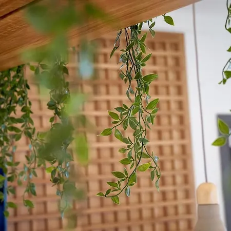 Aparthotel Celine's Rose 4*