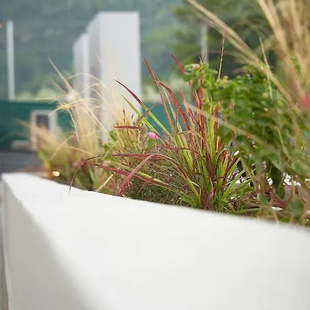 Celine's Rose 4* Skala Potamia (Thasos)