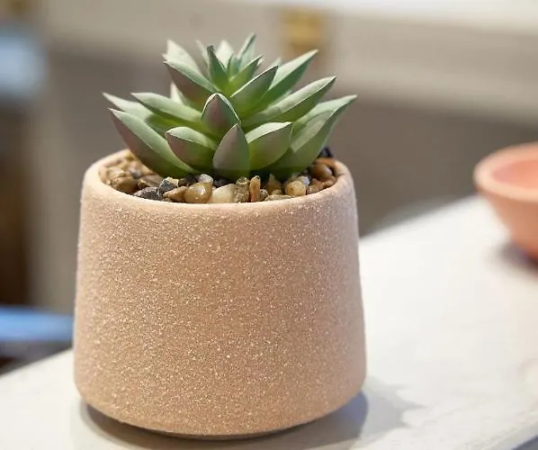 Aparthotel Celine's Rose