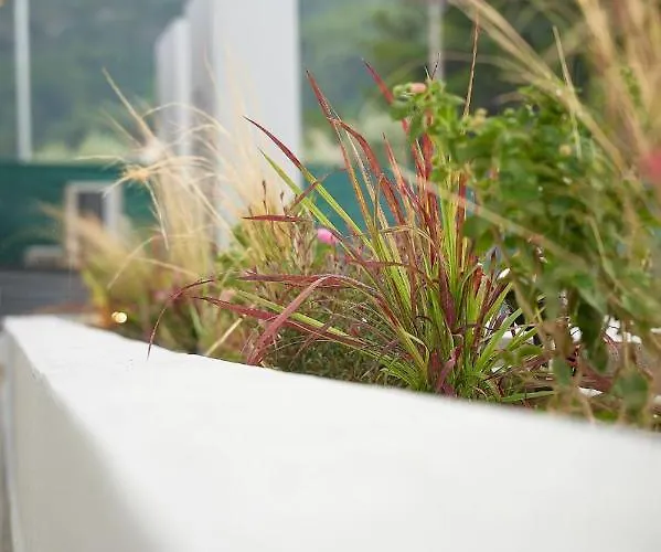 Celine's Rose 4* Skala Potamia (Thasos)