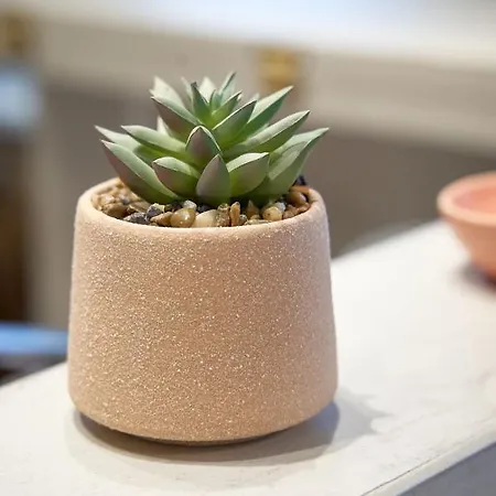 Apartmanhotel Celine's Rose