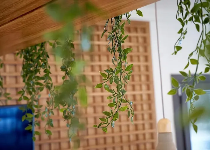 Appart hôtel Celine's Rose 4*