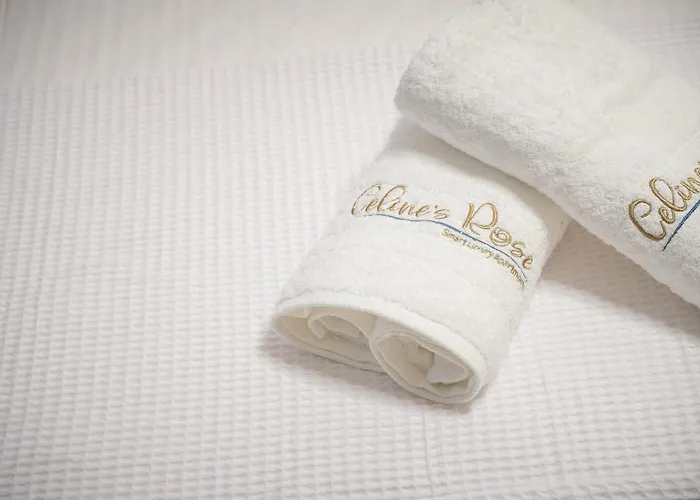 Appart hôtel Celine's Rose 4*